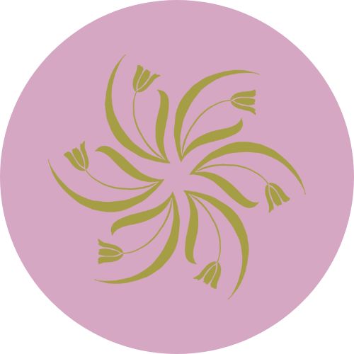 Village Dermatology logo